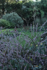 IMG_5372
