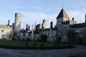 IMG_5393